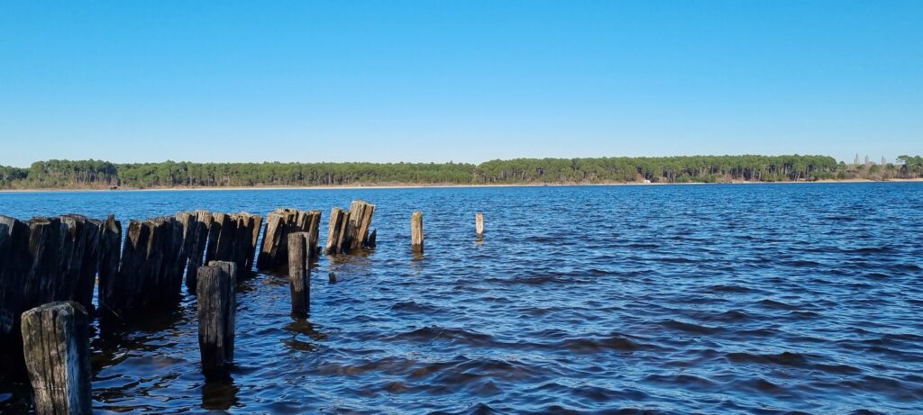 photo du lac de Sanguinet