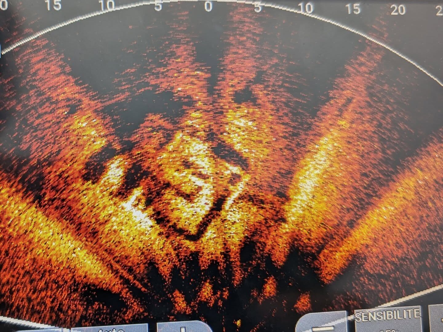 vue de mon sondeur Garmin avec technologie livescope vue en perspective.