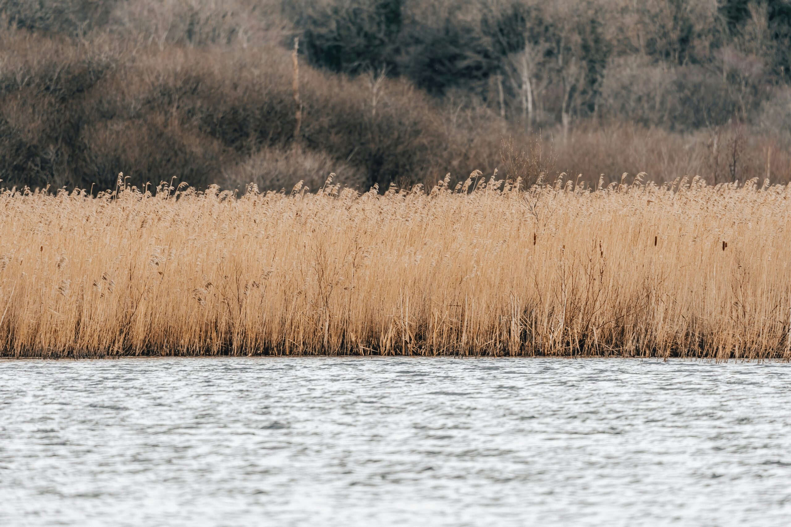 Une zone de pêche shallow