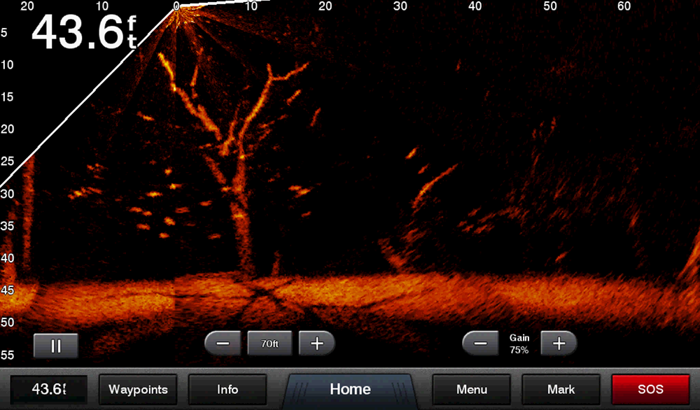 vue de la technologie livescope de chez Garmin