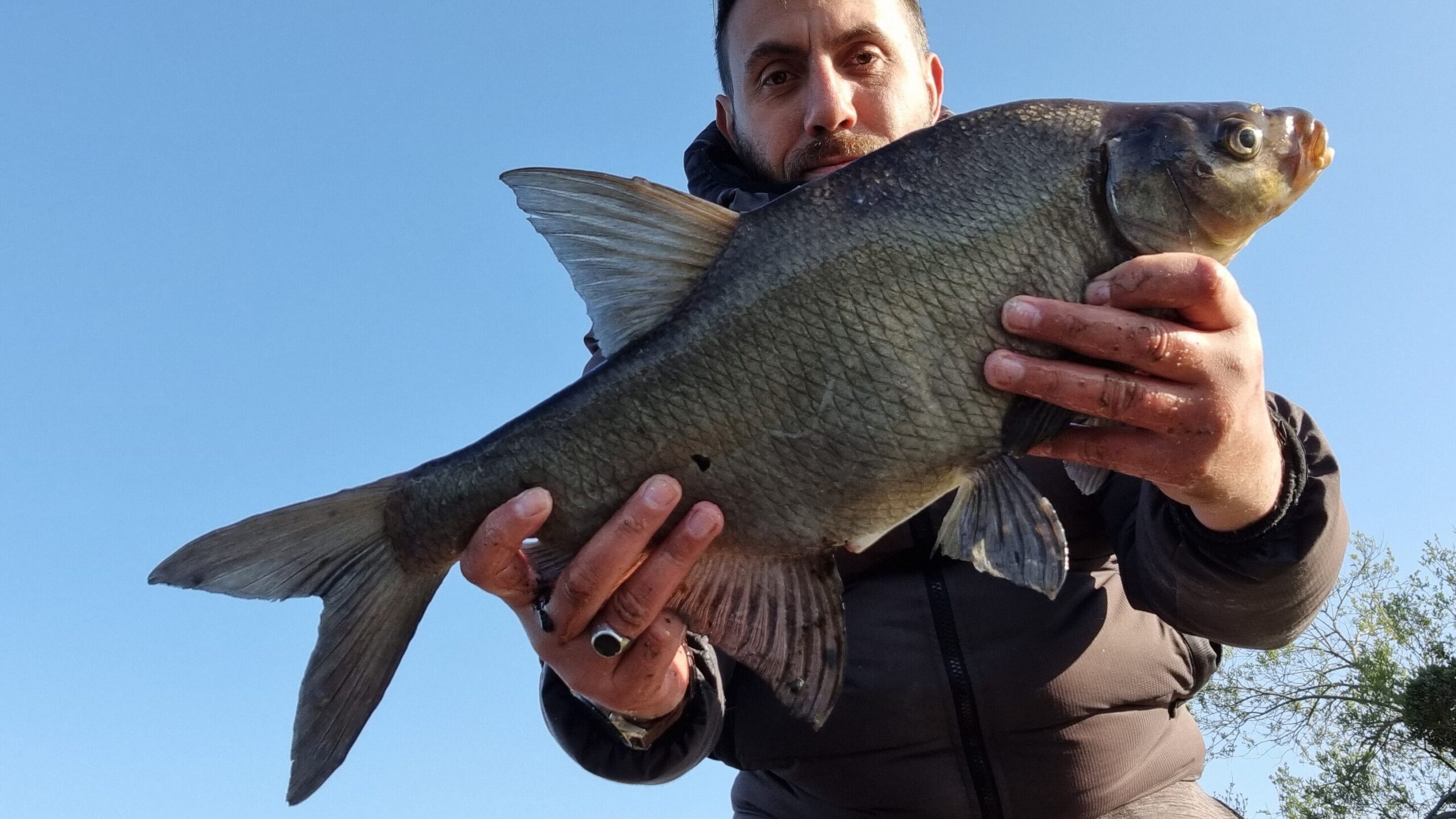 Une belle brème pêché au feeder pendant la fermeture de ka pêche du brochet