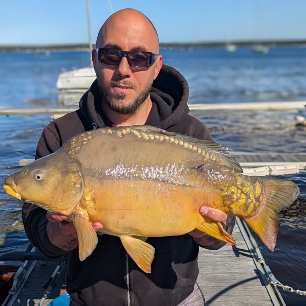 carpe au method feeder à sanguinet