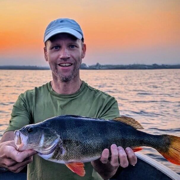 perche sur les lacs landais