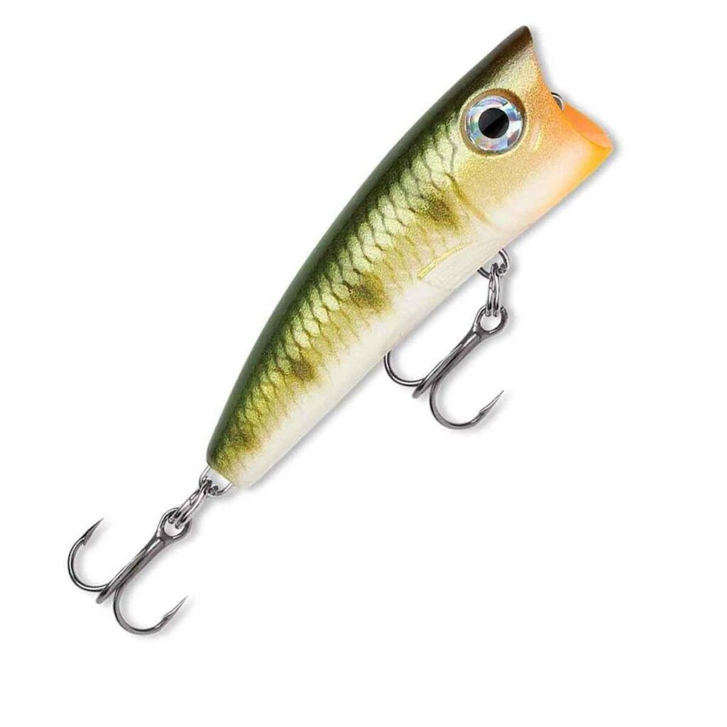 leurre type popper pour pêcher en surface au coup du soir