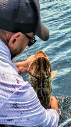 gros brochet attrapé par un guide de pêche Sanguinet