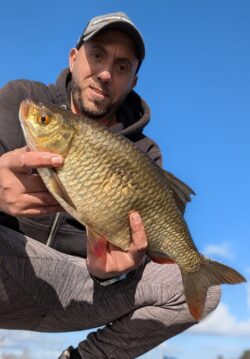 rotengle attrapé au feeder lac de Biscarrosse
